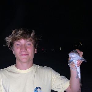 Meet your Posher, Drew